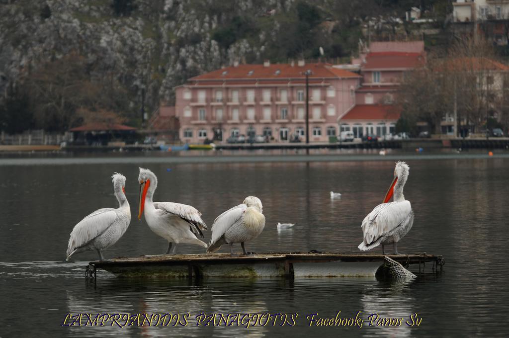 Hotel Kastoria In Kastoria City Экстерьер фото