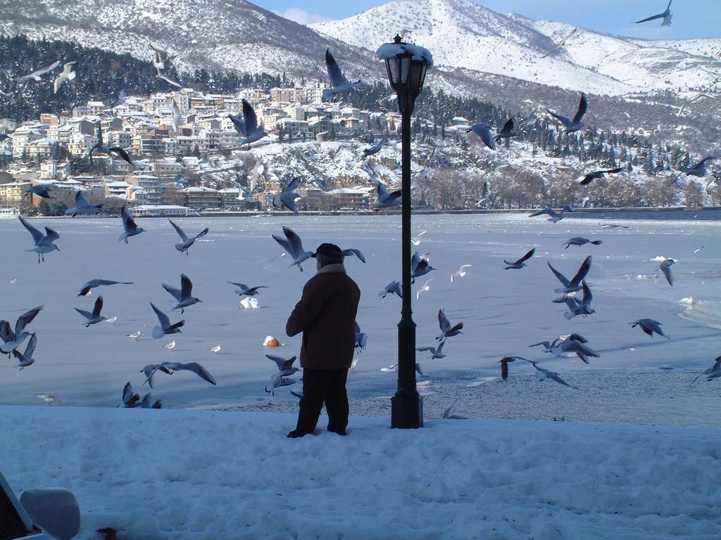 Hotel Kastoria In Kastoria City Экстерьер фото